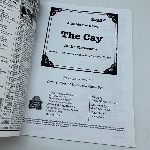 THE CAY by Theodore Taylor LITERATURE UNIT Teacher Resource Homeschool Lesson - Picture 2 of 7